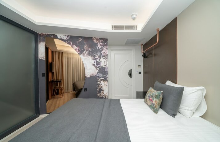 Imagen general del Hotel Fama Karakoy. Foto 3