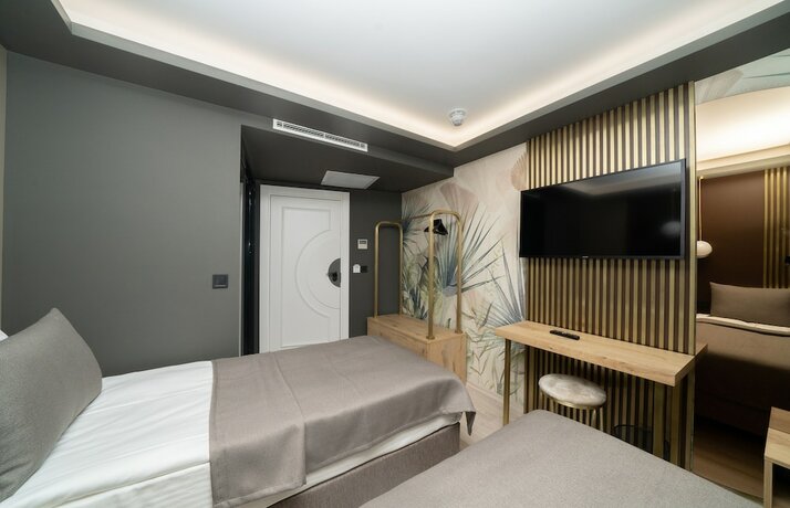 Imagen general del Hotel Fama Karakoy. Foto 11