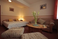 Imagen general del Hotel Fam&iacute;lia Vend&eacute;gh&aacute;z. Foto 3