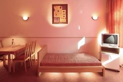 Imagen general del Hotel Fam&iacute;lia Vend&eacute;gh&aacute;z. Foto 6
