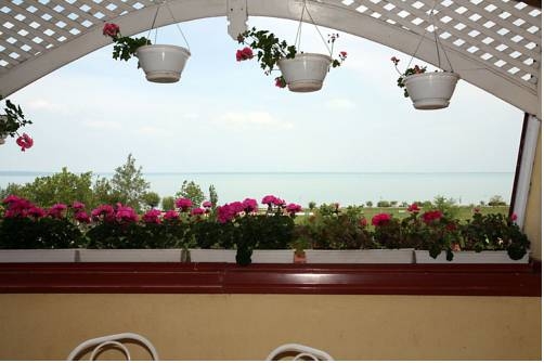 Imagen general del Hotel Familia Panzió. Foto 7