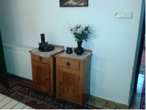 Imagen general del Hotel Familia Panzió. Foto 10