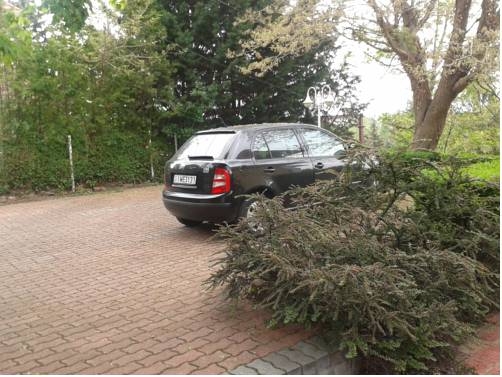 Imagen general del Hotel Familia Panzió. Foto 16