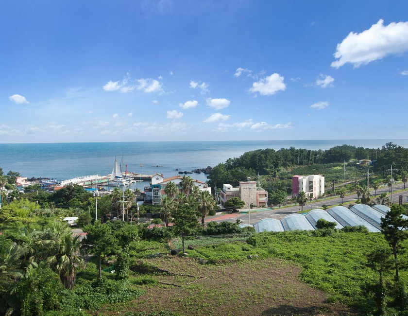 Imagen general del Hotel Familia, Seogwipo. Foto 13