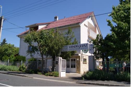 Imagen general del Hotel Familia Vend&eacute;gh&aacute;z. Foto 7