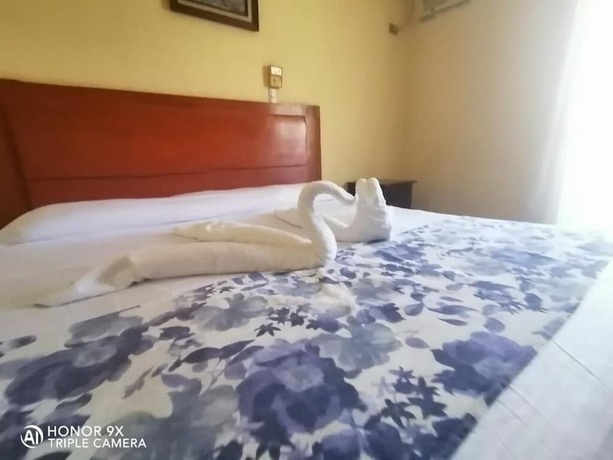 Imagen de la habitación del Hotel Familiar El Dorado. Foto 9