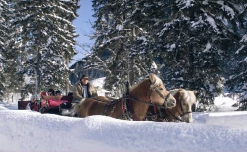 Imagen general del Hotel Familotel Lengauer Hof Und Landhaus St. Georg. Foto 4