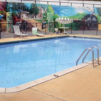 Imagen de la piscina del Hotel Family Budget Inn. Foto 16