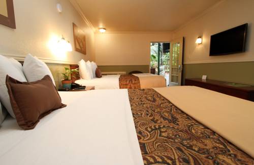 Imagen de la habitación del Hotel Family Garden Inn and Suites. Foto 13