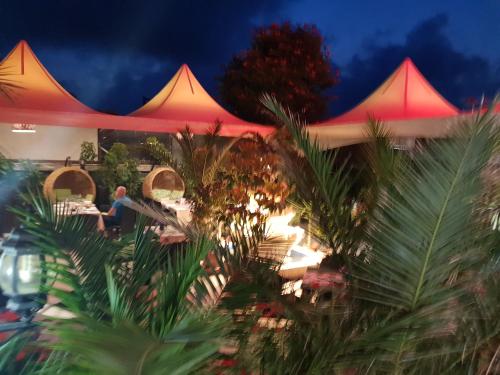 Imagen general del Hotel Family Gogov. Foto 3