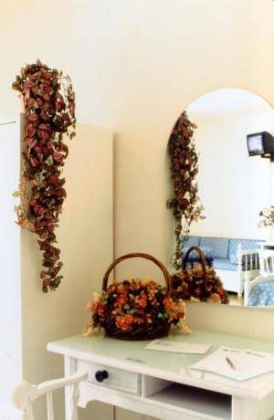 Imagen general del Hotel Family Hotel Alexander. Foto 2