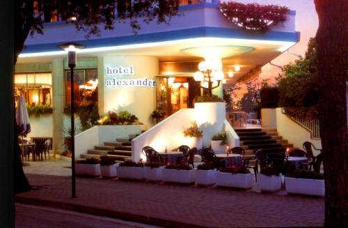 Imagen general del Hotel Family Hotel Alexander. Foto 5