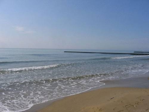 Imagen general del Hotel Family Hotel Alexander. Foto 12