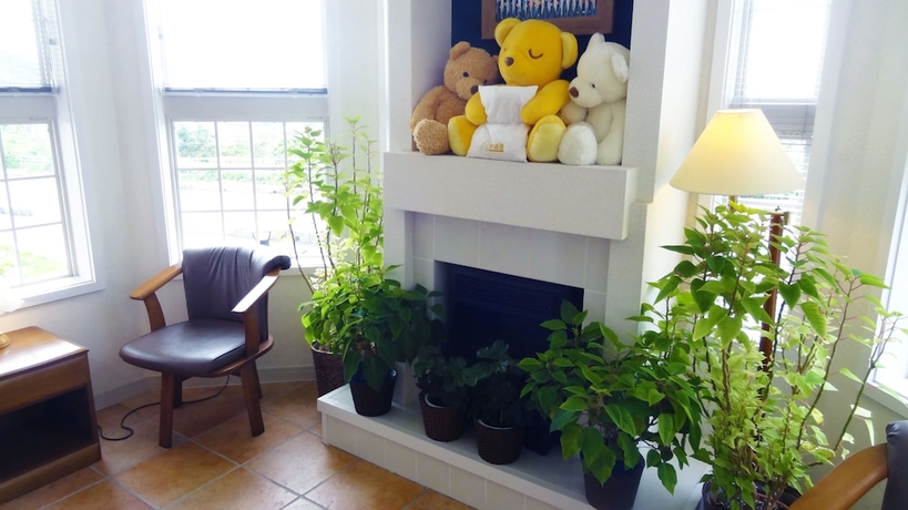 Imagen de los interiores del Hotel Family Lodge Hatagoya Chiba Katsuura. Foto 13