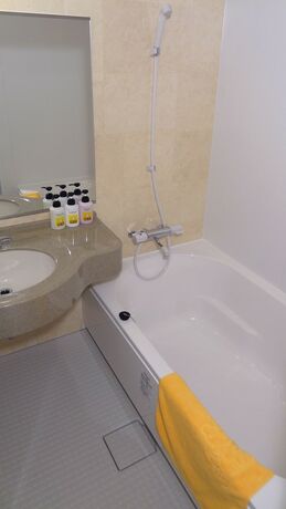 Imagen de la habitación del Hotel Family Lodge Hatagoya Miyazaki. Foto 10