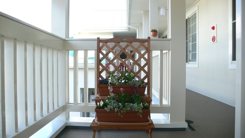 Imagen de los interiores del Hotel Family Lodge Hatagoya Nirasaki. Foto 15