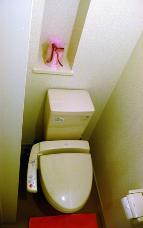 Imagen de la habitación del Hotel Family Lodge Hatagoya Tokyo Shinkiba. Foto 5