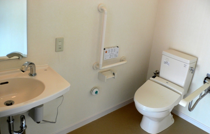 Imagen de la habitación del Hotel Family Lodge Hatagoya Tokyo Shinkiba. Foto 9