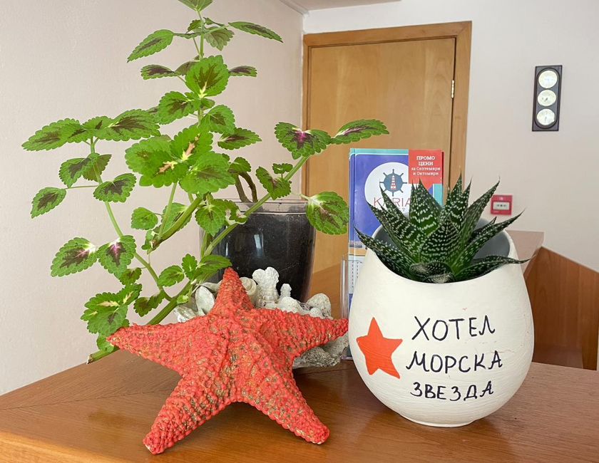 Imagen general del Hotel Family Morska Zvezda. Foto 17