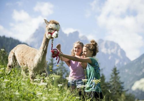 Imagen general del Hotel Family Resort Rainer. Foto 4