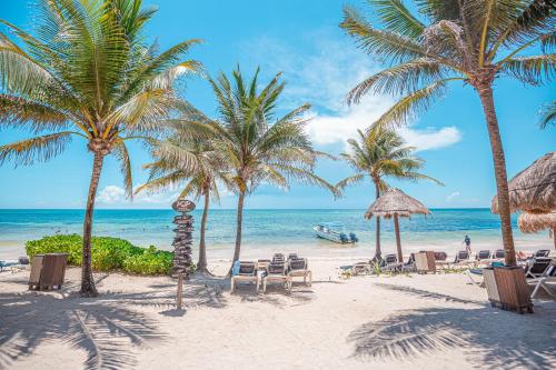 Imagen general del Hotel Family Selection At Grand Palladium Kantenah Resort and Spa. Foto 2