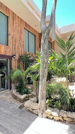 Imagen general del Hotel Family & Couples HARMONIA Suites in Tulum. Foto 8