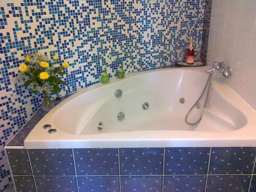 Imagen de la habitación del Hotel Family hotel Maxim. Foto 6