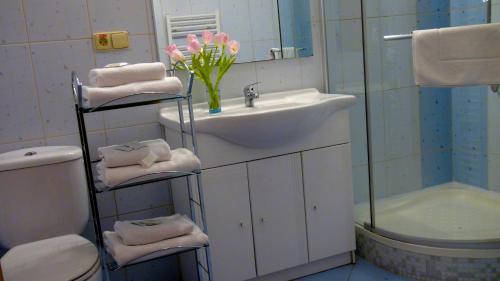 Imagen general del Hotel Family hotel Maxim. Foto 4