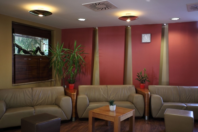 Imagen del bar/restaurante del Hotel Famulus. Foto 6