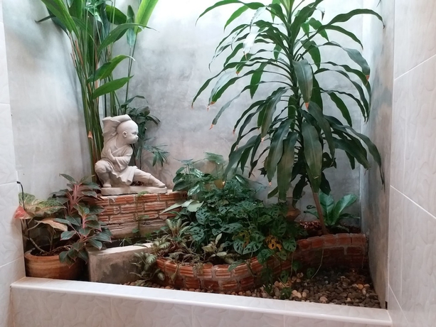 Imagen de los interiores del Hotel Fancy Carp Resort. Foto 19