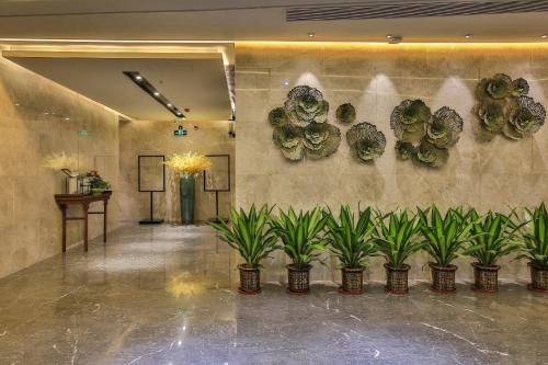 Imagen general del Hotel Fancy. Foto 2