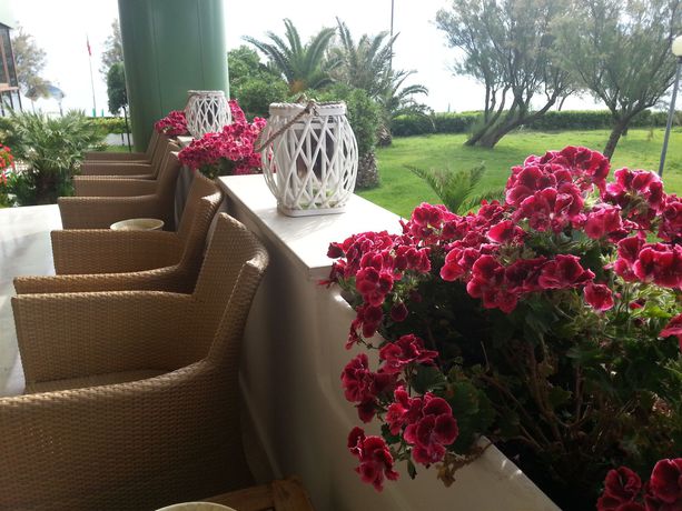 Imagen de los exteriores del Hotel Fano Imperial. Foto 11