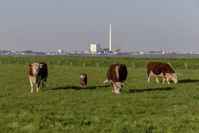 Imagen general del Hotel Fanø Night and Stay. Foto 11