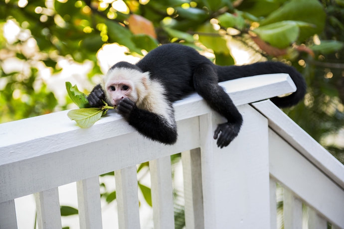 Imagen de los interiores del Hotel Fantasy Island Beach Resort, Dive and Marina All Inclusive. Foto 15