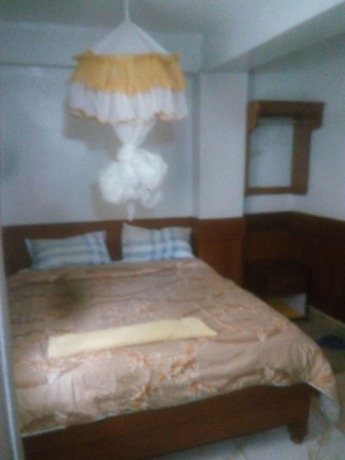 Imagen de la habitación del Hotel Faraja. Foto 12