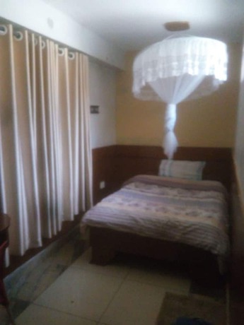 Imagen de la habitación del Hotel Faraja. Foto 15