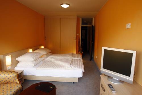 Imagen de la habitación del Hotel Faraon, Zalec. Foto 8