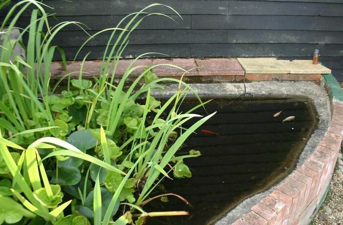 Imagen general del Hotel Farmhouse Inn. Foto 5