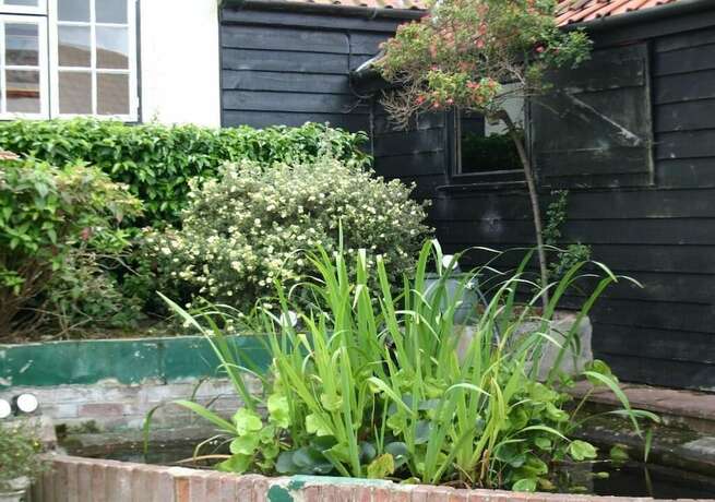 Imagen general del Hotel Farmhouse Inn. Foto 7