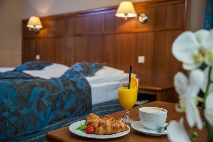 Imagen de la habitación del Hotel Farmona Business and Spa. Foto 6