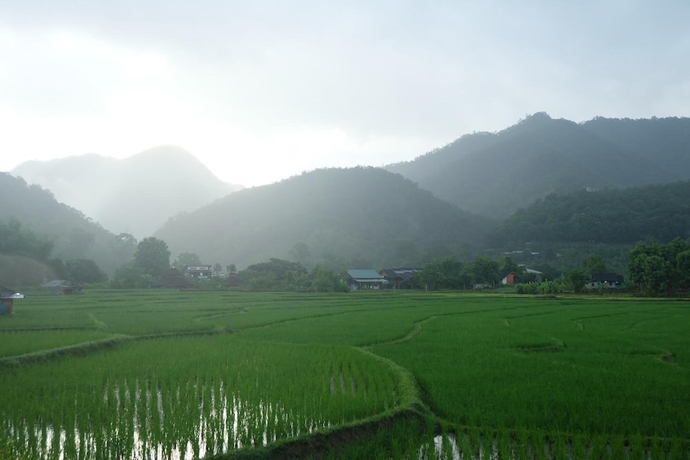 Imagen general del Hotel Farmstay At Pai. Foto 2