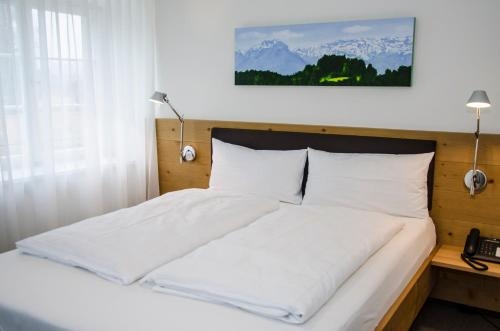 Imagen de la habitación del Hotel Farny. Foto 10
