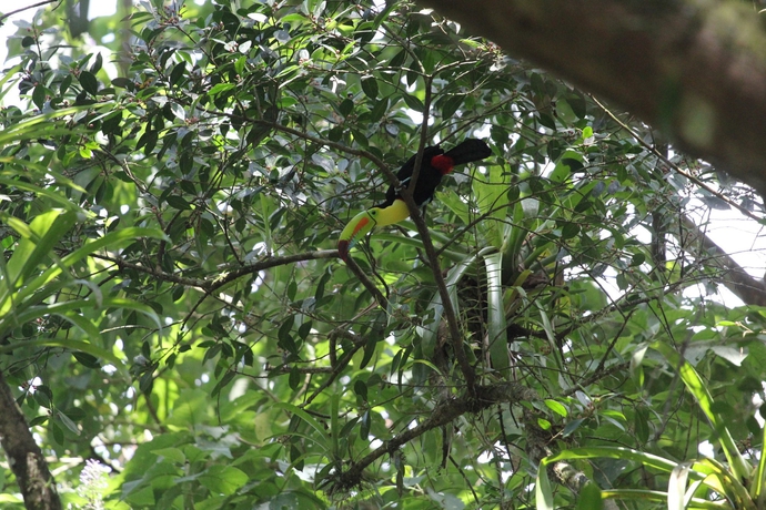 Imagen de los exteriores del Hotel Faro Arenal. Foto 10