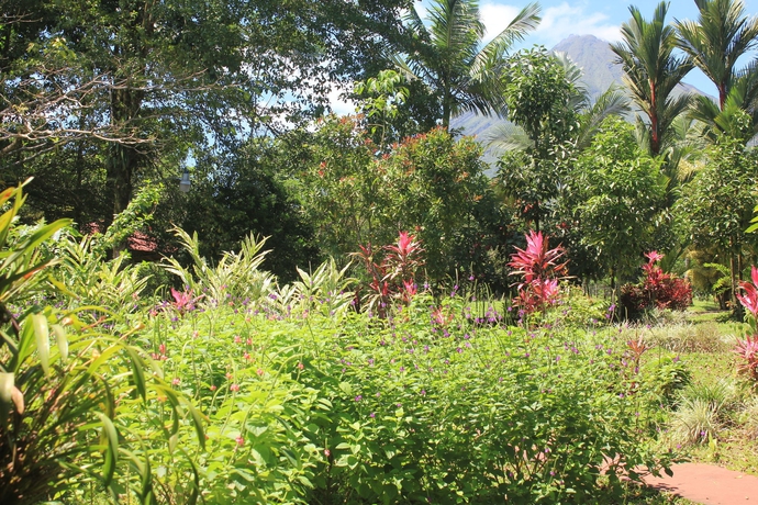 Imagen de los exteriores del Hotel Faro Arenal. Foto 11