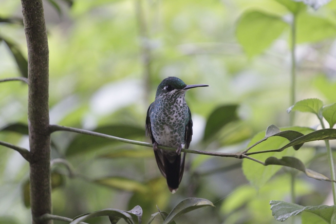 Imagen de los exteriores del Hotel Faro Arenal. Foto 12