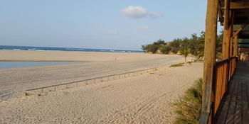 Imagen de los exteriores del Hotel Farol Da Barra. Foto 6