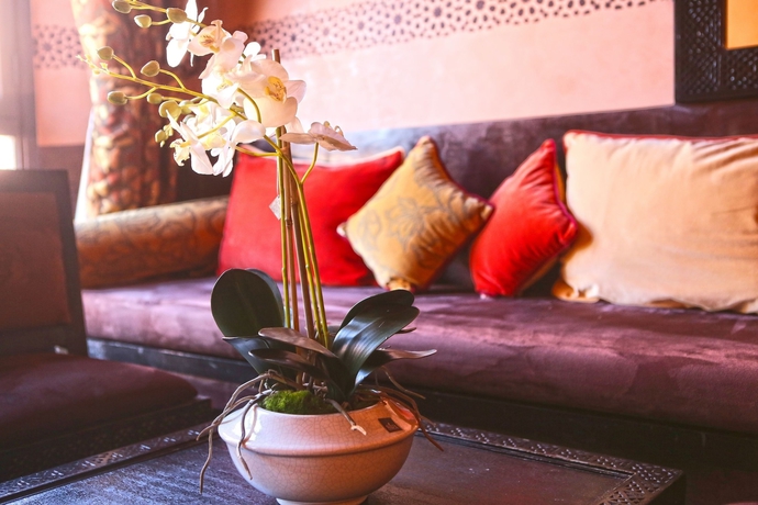 Imagen de la habitación del Hotel Fashion, Gueliz. Foto 14