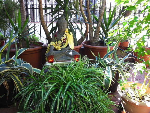 Imagen de los exteriores del Hotel Fashion House. Foto 11