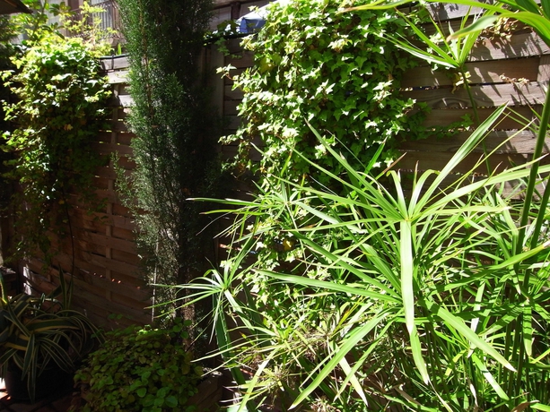 Imagen de los exteriores del Hotel Fashion House. Foto 13