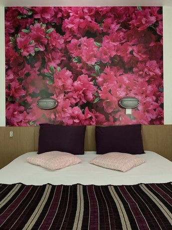 Imagen de la habitación del Hotel Fasth&ocirc;tel Orl&eacute;ans Sud Z&eacute;nith. Foto 13